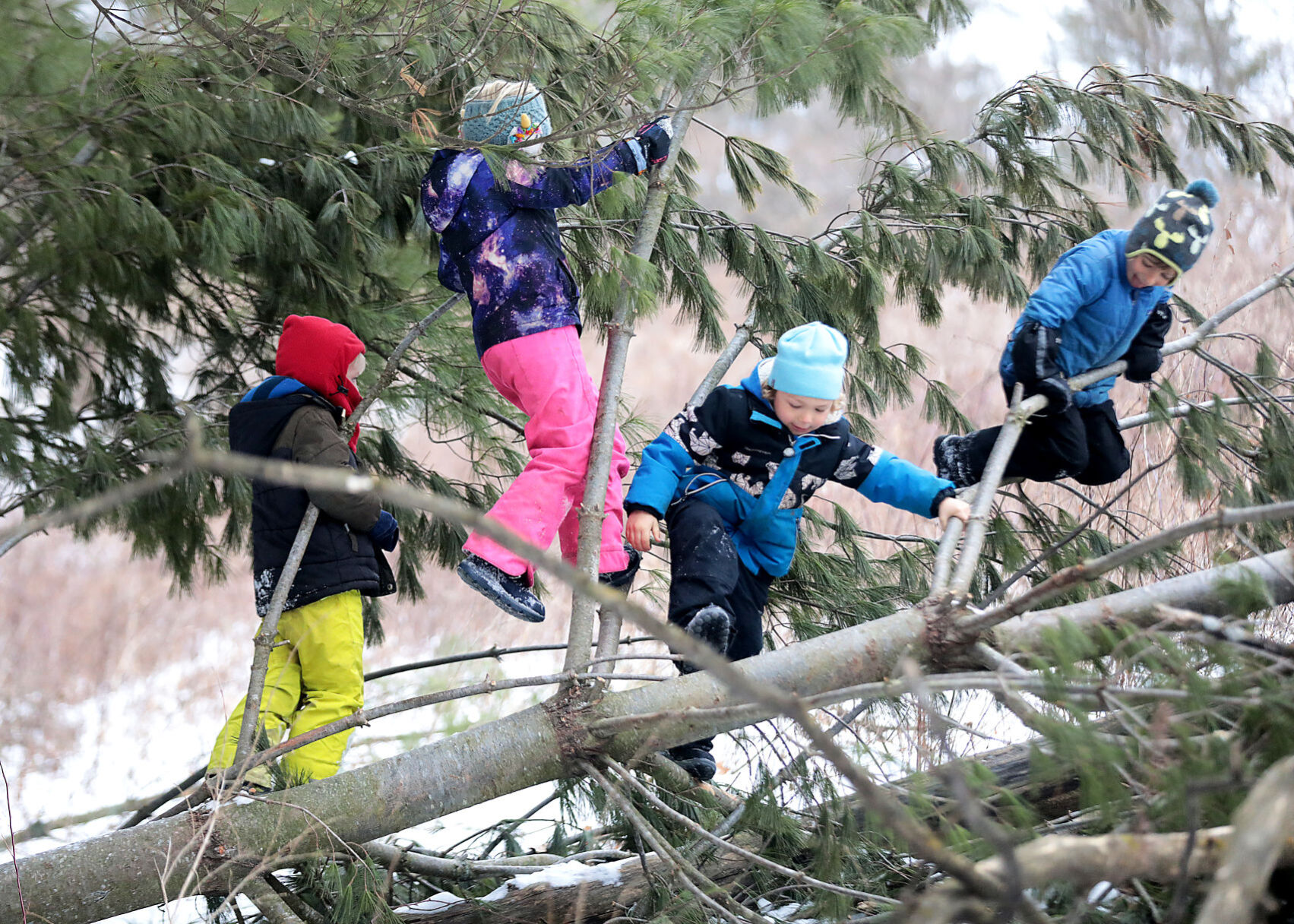 Kickapoo Valley Forest School